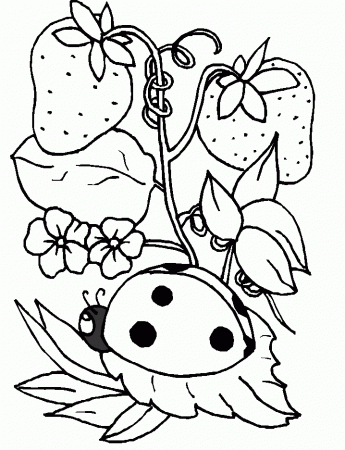 Download Ladybug And Fruit Coloring Pages Or Print Ladybug And 