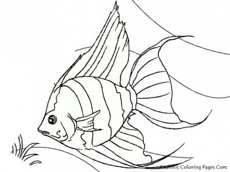 Tropical Fish Coloring Pages Realistic Coloring Pages Nice Garden 