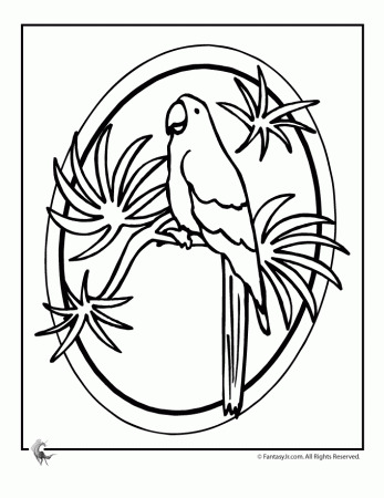Fantasy Jr. | Parrot Luau Coloring Page | Ideas for Hawaiian Themed P…