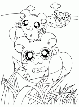 Happy Hamsters Hamtaro Coloring Page - Cartoon Coloring Pages on 