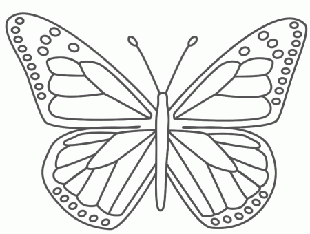 Butterflies Coloring Pages For Kids - Free Printable Coloring 