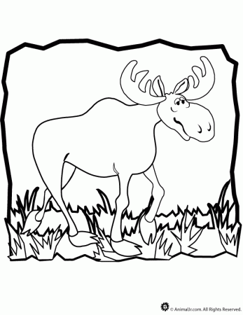 Moose Colouring Pages (page 2)