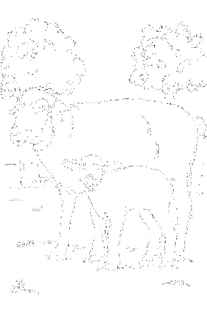 Sheep Coloring pages | Coloring Pages