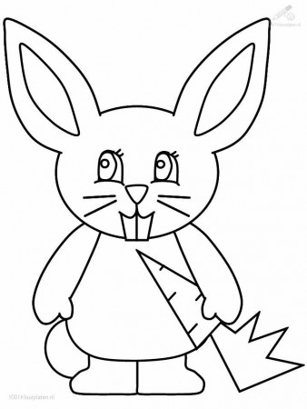 Rabbit Coloring