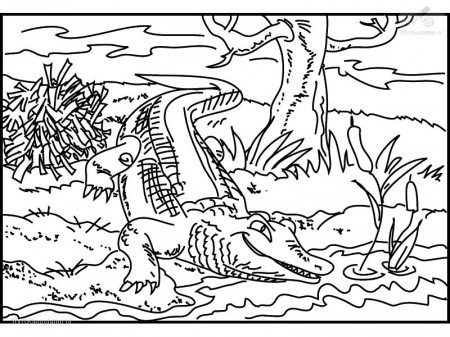 crocodile printable coloring pages : Printable Coloring Sheet 