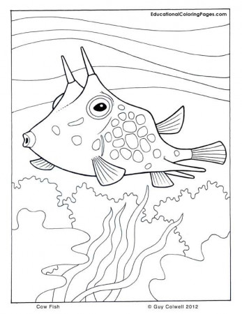Sea and Seashore Book One Coloring Pages | Animal Coloring Pages 