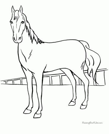Horses Coloring Pages | COLORING WS