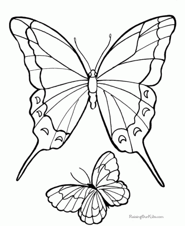 Free Butterfly Picture To Print And Color