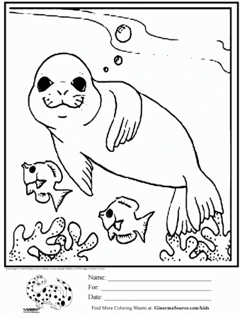 Coloring Page Seal Swimming With Fish Penguin And Polar Bear Party 