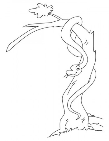 Snake on the tree coloring page | Download Free Snake on the tree 