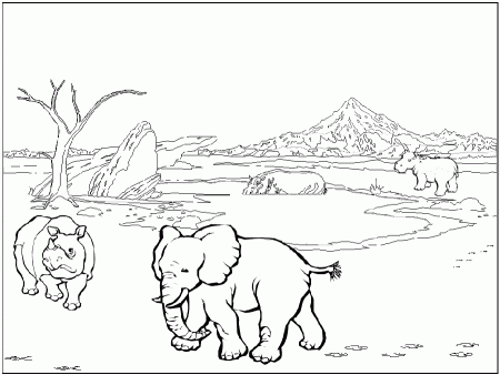 African animals Colouring Pages (page 2)