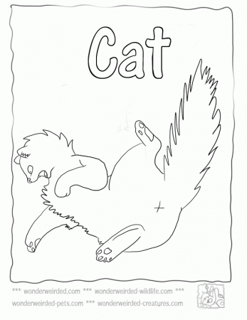 Cat Coloring Pages,Echo's Cat Coloring Pictures from Pet Coloring 