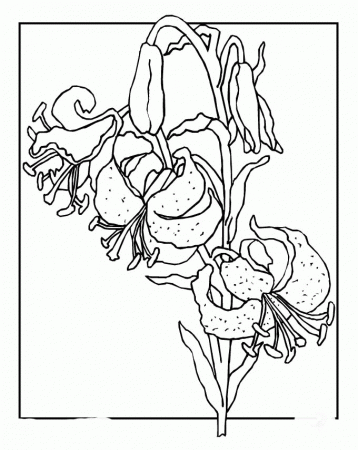 Spring Flowers Colouring Sheets - Spring Coloring Pages : iKids 