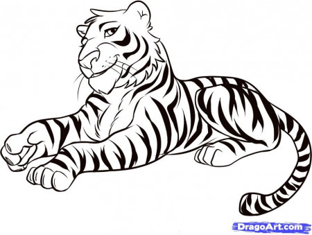 How to Draw a Tiger, Step by Step, Rainforest animals, Animals 