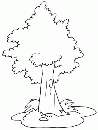 Print Tree 2 Coloring Pages Com Pics 1: Tree 2