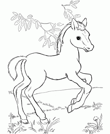 Horses Coloring Pages To Print | Coloring Pages For Kids | Kids 