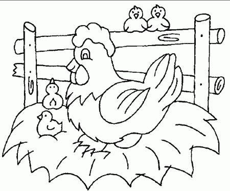 Coloring Pages Chickens 305 | Free Printable Coloring Pages