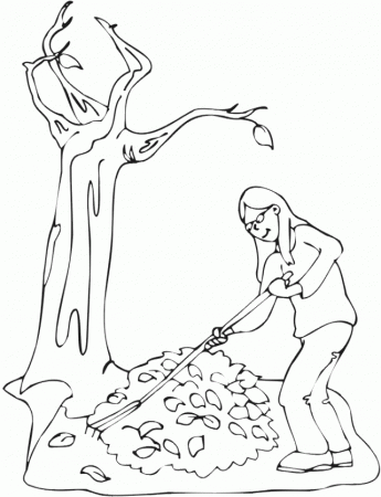 Pictures Fall Tree Coloring Pages - Tree Coloring Pages : Free 