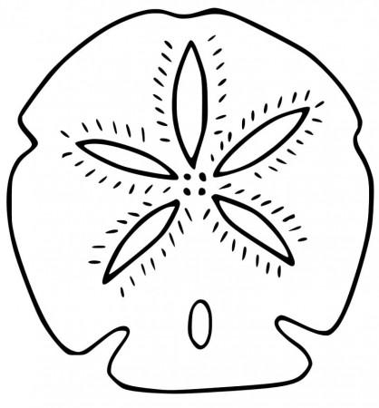 Sand Dollar 4 Coloring Page - Free Printable Coloring Pages for Kids