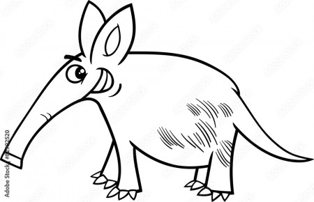 aardvark cartoon coloring page Stock Vector | Adobe Stock