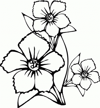 Hibiscus Coloring Page Kids Coloring Page Coloring Pages Of ...
