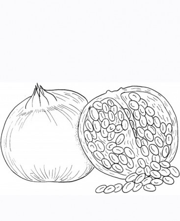 Red Pomegranate Seeds Coloring Pages Picture | Learn To Coloring