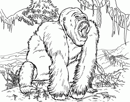 Free Gorilla Pictures For Kids, Download Free Clip Art, Free Clip ...