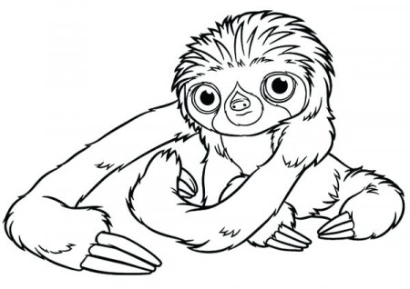 Cute Sloth Coloring Pages