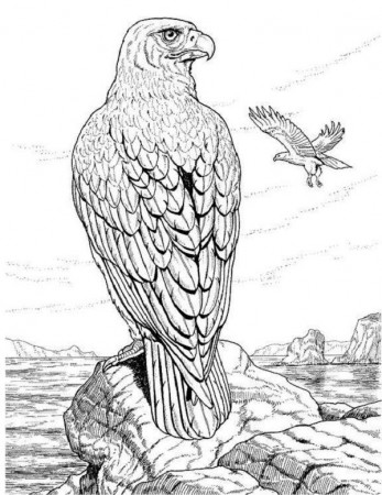 realistic animal coloring pages for adults | Bird coloring pages ...