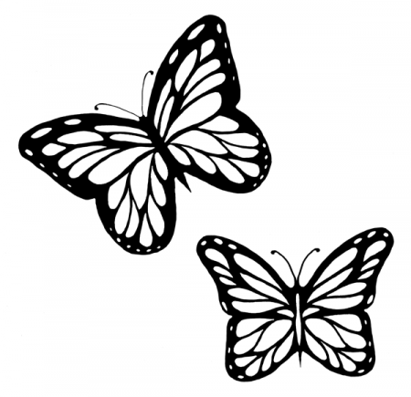 Flying Butterfly Outline