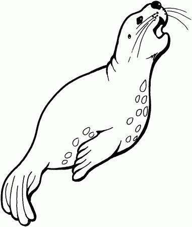 Seal Coloring Page