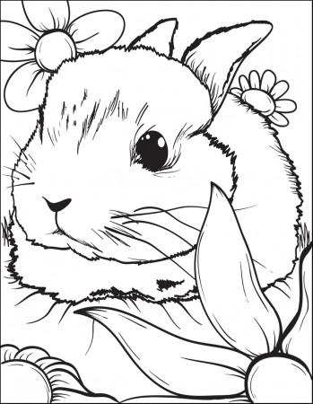 Printable Bunny Rabbit Coloring Page for Kids #3 – SupplyMe