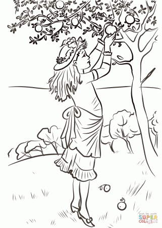 Girl Picking Apples coloring page | Free Printable Coloring Pages