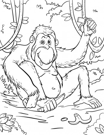 Rainforest Coloring Page - Free image on Pixabay