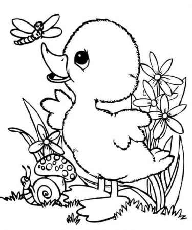 Pin on Animal Coloring Pages
