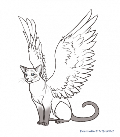 Commish-Siamese Angel | Cat art, Cat coloring page, Animal drawings