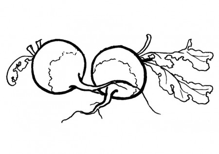 Radish Coloring Pages - Free Printable Coloring Pages for Kids