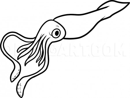 How to Draw a Giant Squid, Giant Squid, Coloring Page, Trace Drawing
