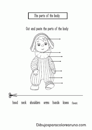 body parts coloring pages | Coloring and coloring