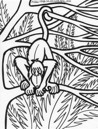 Jungle Coloring Pages For S - High Quality Coloring Pages