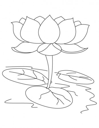 Sacred lotus coloring page | Download Free Sacred lotus coloring ...