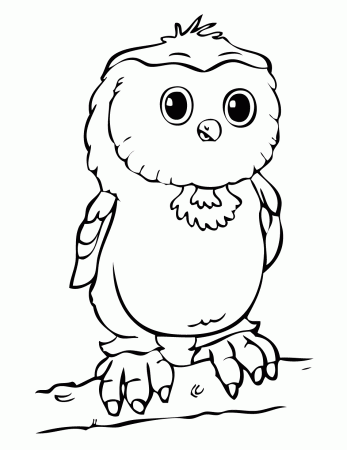 Owl Babies Coloring Pages : Coloring Pages Of Owl Babies. Baby Owl ...