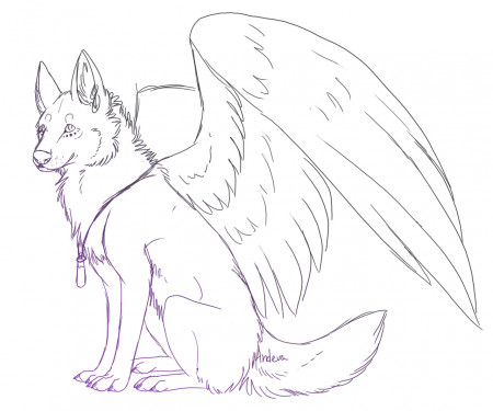 Anime Winged Cat Coloring Pages - Get ...