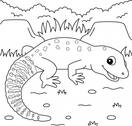 Leopard Gecko Animal Coloring Page for Kids 19979702 Vector Art at Vecteezy