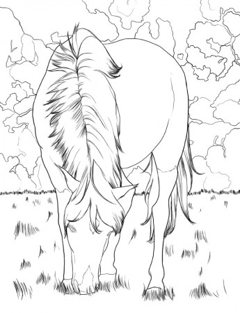 Horse Coloring Book: For Kids Ages 9-12 – Young Dreamers Press