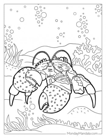 39 Moana Coloring Pages (Free PDF Printables)