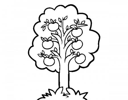 An apple tree coloring page - Coloringcrew.com