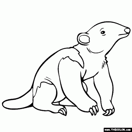 Baby Animals Online Coloring Pages