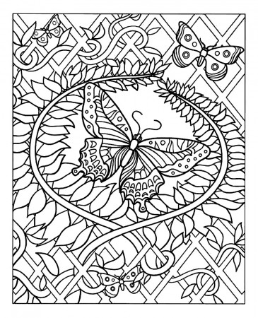 Butterfly - Butterflies & insects Adult Coloring Pages