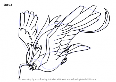 Learn How to Draw Mega Pidgeot from Pokemon (Pokemon) Step by Step :  Drawing Tutorials | Concept art books, Pokemon, Pokemon pidgeot